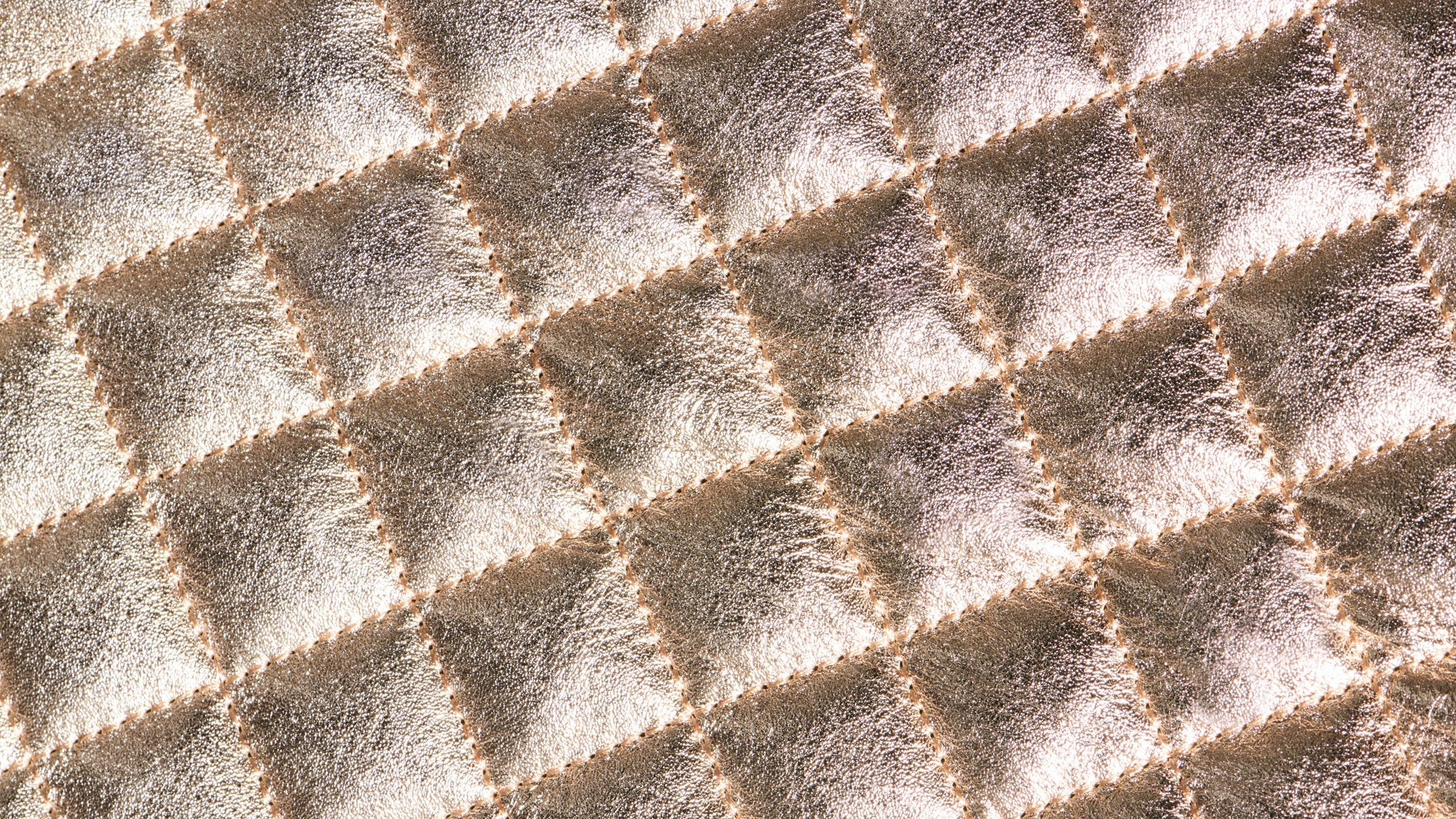 Metallic Leather