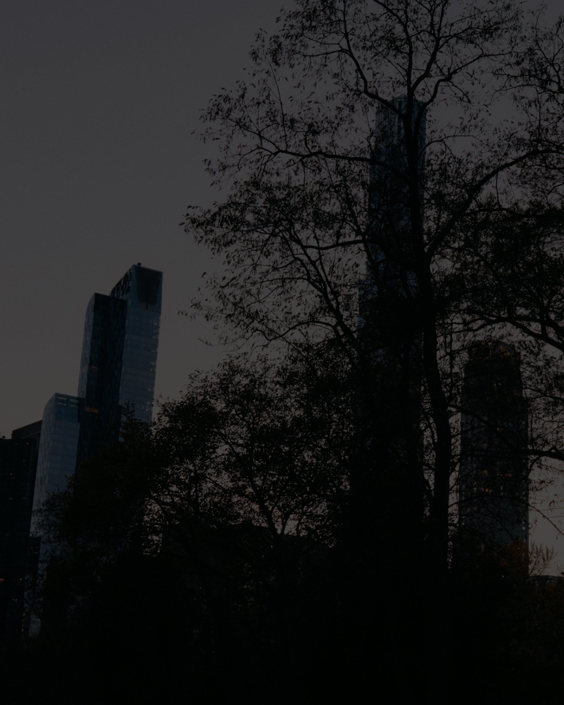 MZ Wallace | Our Impact