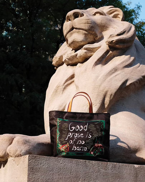 MZ Wallace × Raymond Pettibon